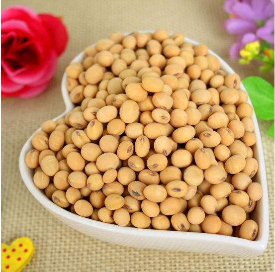 男人多吃大豆能预防前列腺疾病是真的吗？
