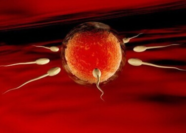 引起男性血精的病因都有哪些？
