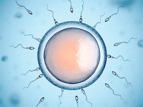 损伤精子的行为和如何保护精子
