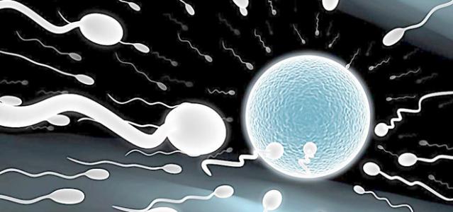 精子存活率低的原因 吃什么能提高精子活力