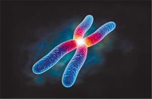 什么是染色体异常及病因和治疗预防