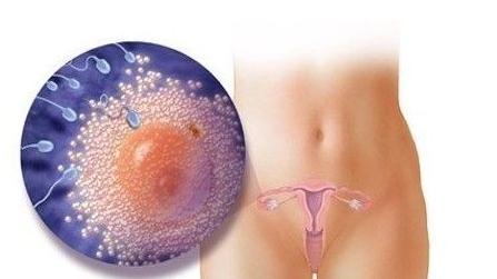 子宫肌瘤为什么会引起不孕？