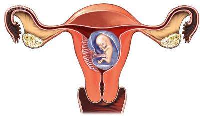 输卵管结核的危害及中医治疗方法