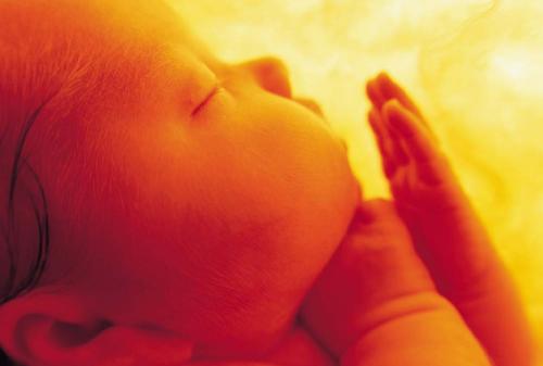 胎儿发育迟缓的表现及预防方法
