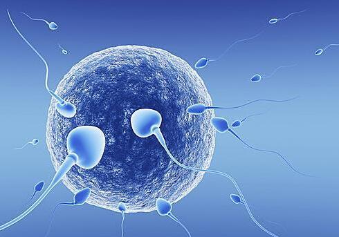 如何自测精子质量和男人吃什么补精子