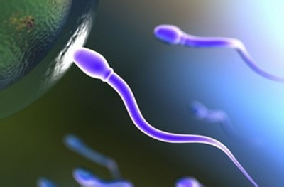 出现超级精子的原因和精子活力太强的影响