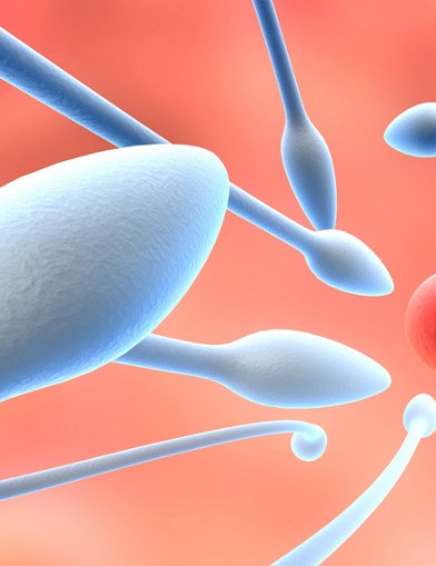 强大精子的方法和如何提升精子质量
