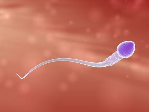 生活中哪些行为会伤害精子？怎么预防男性不育