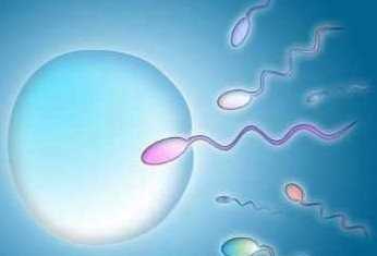 精子活力低怎么办和需要做哪些检查