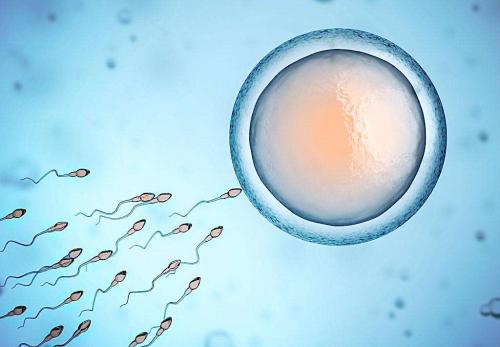 生活中改变精子成活率的方法有哪些？