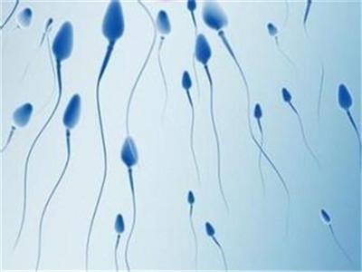 畸形精子的病因与诊断及治疗方法