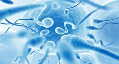 如何了解男性精液的健康及提高精子质量