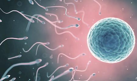 男性少精症有原因 日常吃什么促进精子质量？