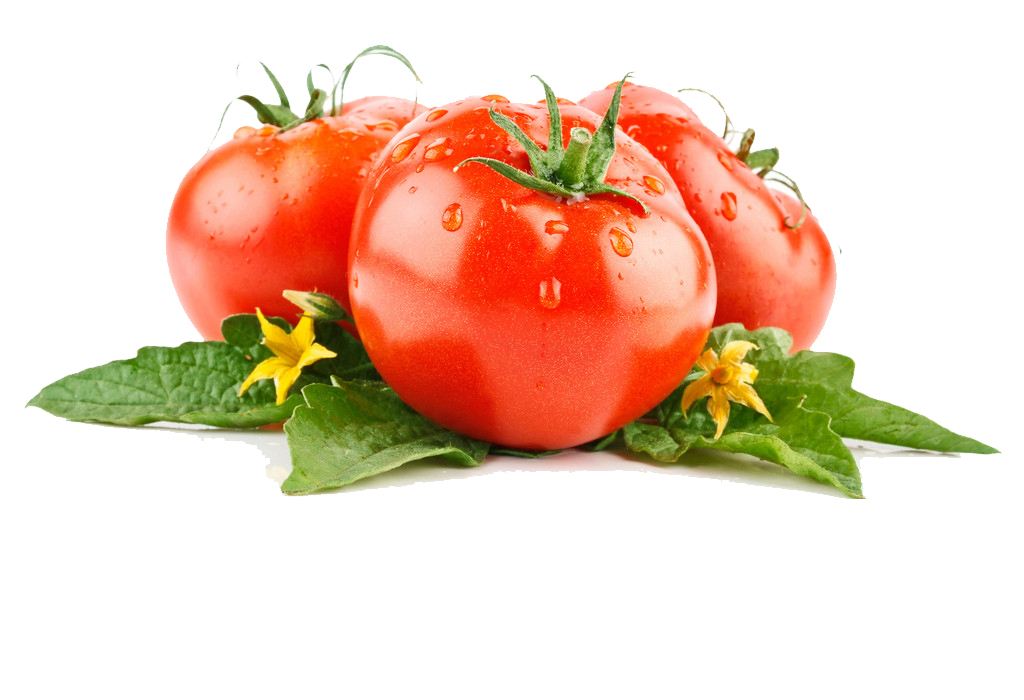 男人多吃番茄可预防不育