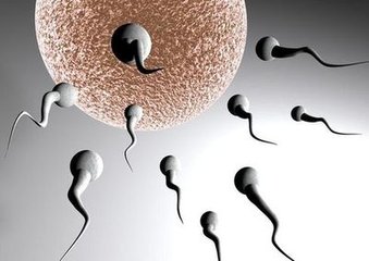 精子为何会出现畸形?原因不外乎这几个
