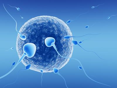 如何降低精子畸形率 保护精子吃什么