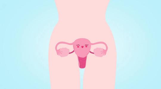 女性输卵管堵塞会造成不孕吗有什么危害