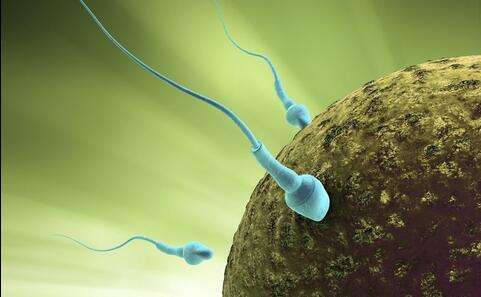 精子生成障碍的诱因及检查和如何预防