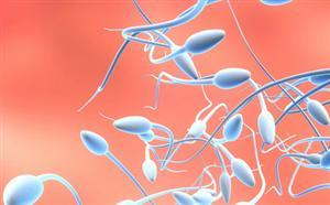 如何预防精子异常？精子异常的原因与危害