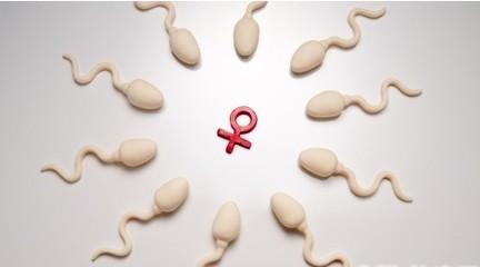 男人必看：提高精子的注意事项有哪些？