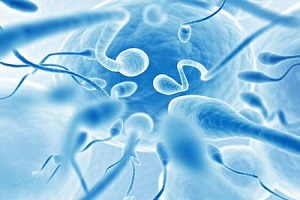 关于男人精子你都了解什么？如何提高精子质量你知道吗？
