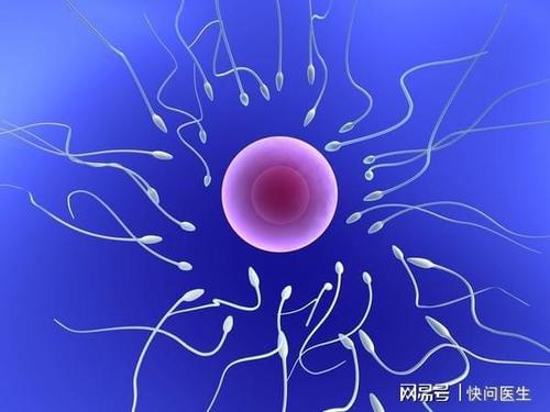 引起精子异常的原因有哪些